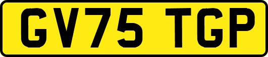 GV75TGP