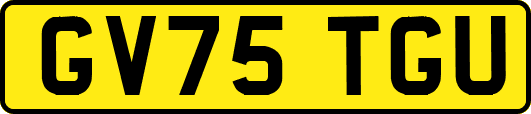 GV75TGU
