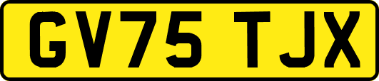 GV75TJX
