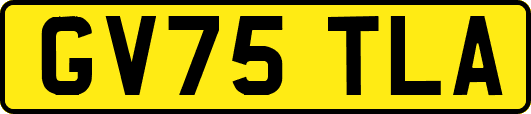 GV75TLA