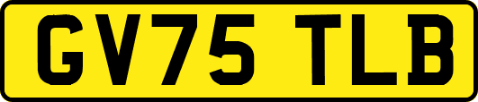 GV75TLB