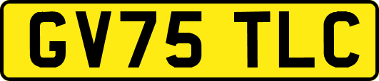 GV75TLC