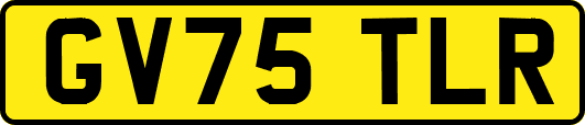 GV75TLR
