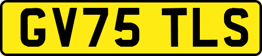 GV75TLS