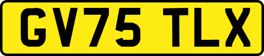 GV75TLX