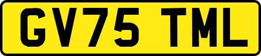 GV75TML