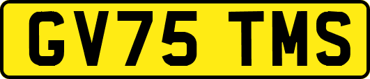 GV75TMS