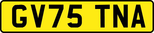 GV75TNA