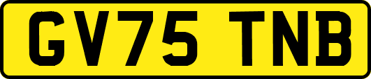 GV75TNB