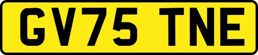 GV75TNE