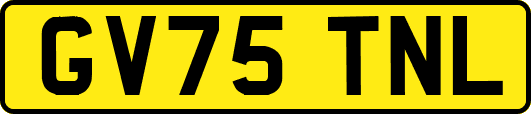 GV75TNL