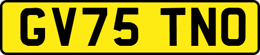 GV75TNO