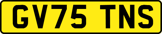 GV75TNS