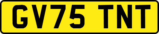 GV75TNT