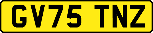 GV75TNZ
