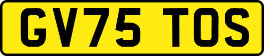 GV75TOS