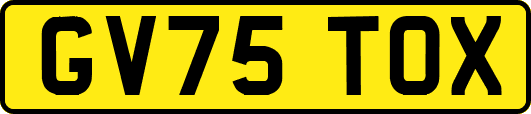 GV75TOX