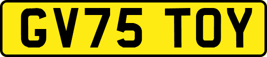 GV75TOY