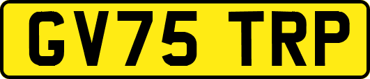 GV75TRP