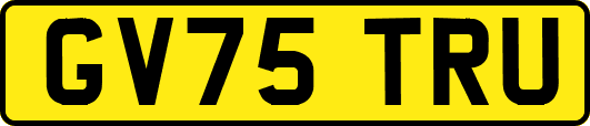 GV75TRU