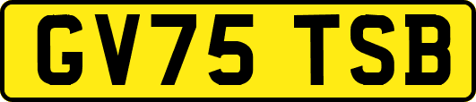 GV75TSB