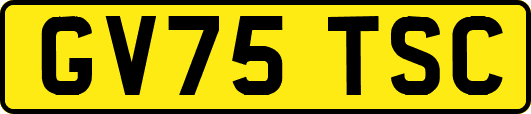GV75TSC