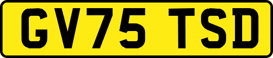 GV75TSD