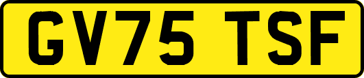 GV75TSF