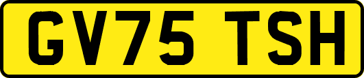 GV75TSH