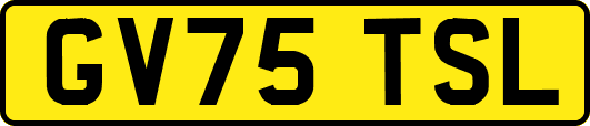 GV75TSL