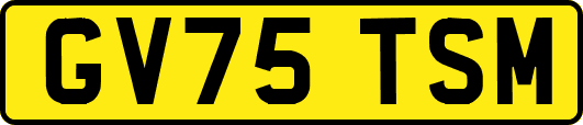 GV75TSM