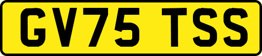 GV75TSS