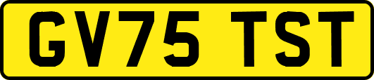 GV75TST