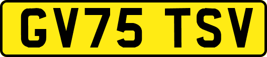 GV75TSV