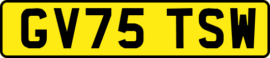 GV75TSW