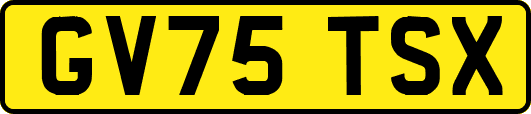 GV75TSX