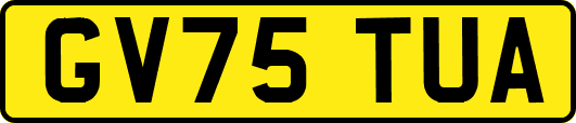 GV75TUA