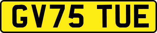 GV75TUE