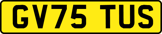 GV75TUS