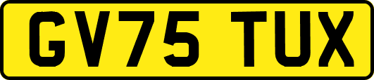 GV75TUX