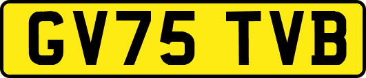 GV75TVB