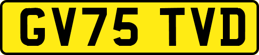 GV75TVD