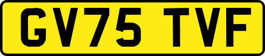 GV75TVF
