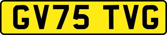 GV75TVG
