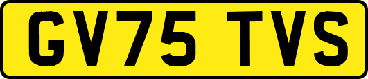 GV75TVS
