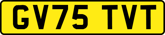 GV75TVT