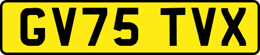 GV75TVX