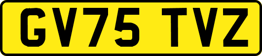 GV75TVZ