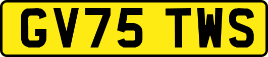 GV75TWS