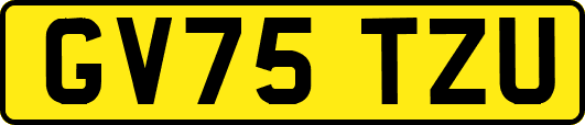 GV75TZU